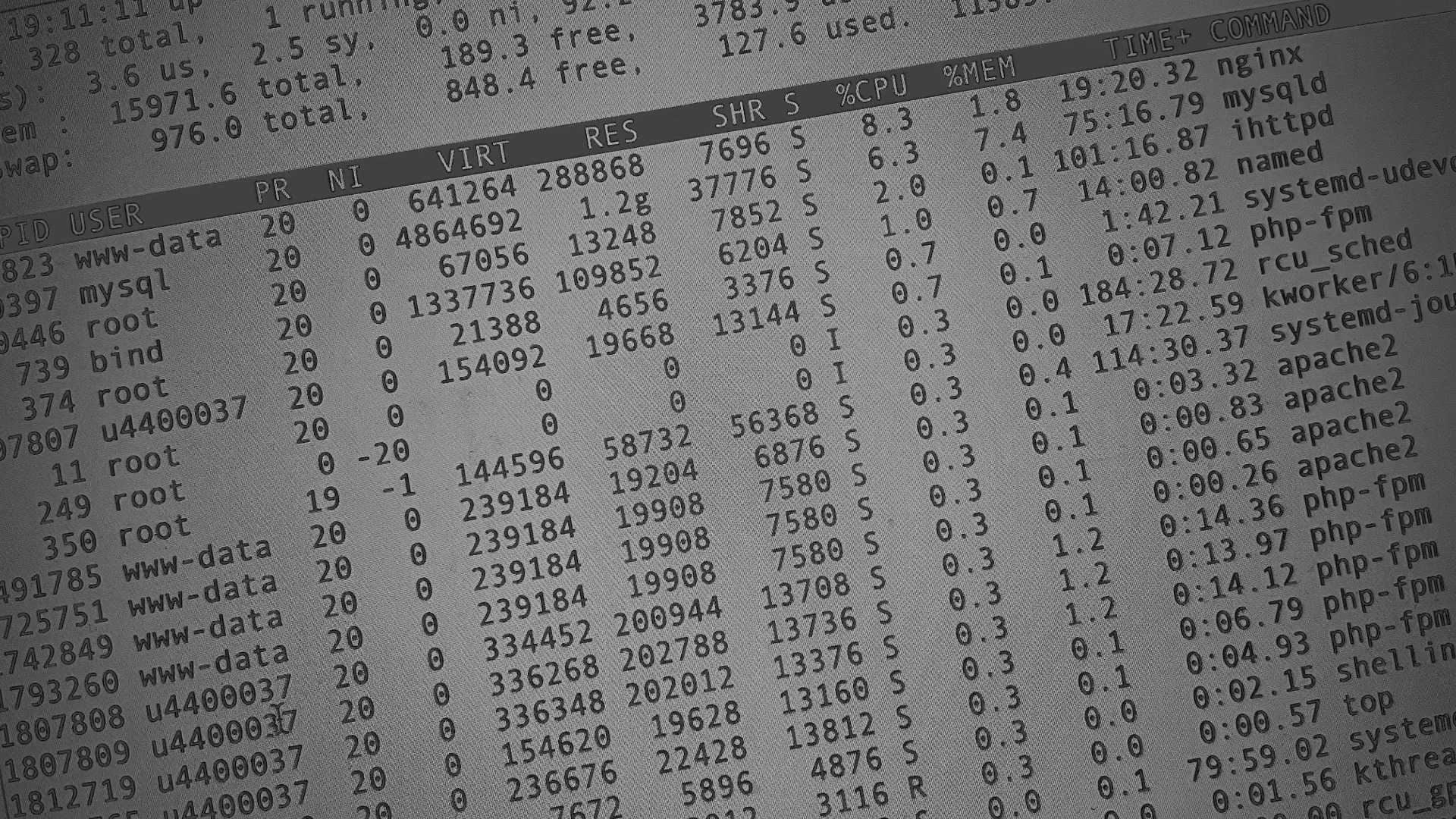 Настройка сервера в Арамиле